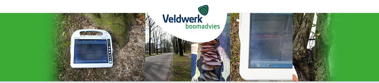 veldwerk